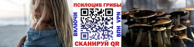 Псилоцибиновые грибы GOLDEN TEACHER  Нестеровская 